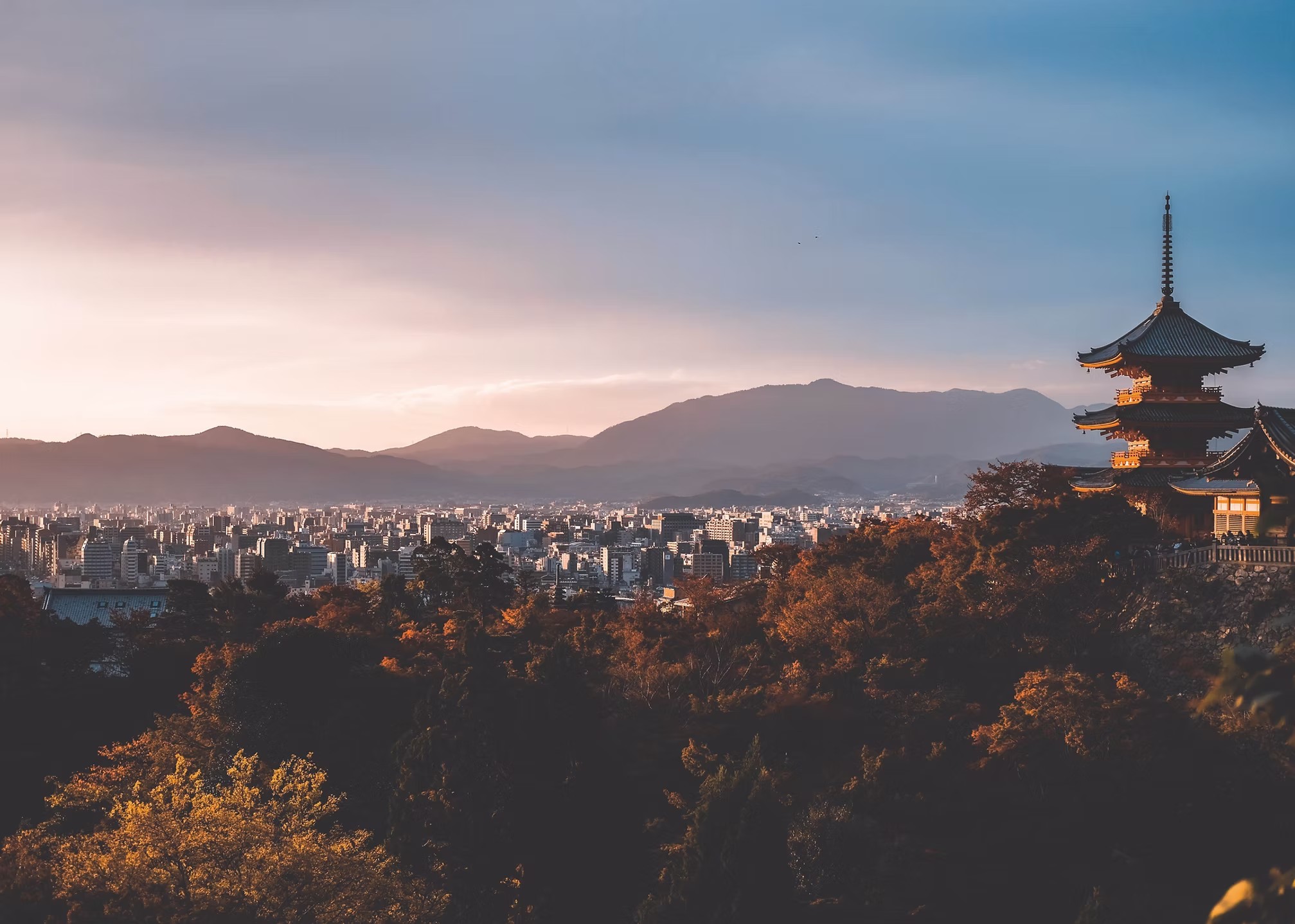 株式会社鳥居設計工房一級建築士事務所